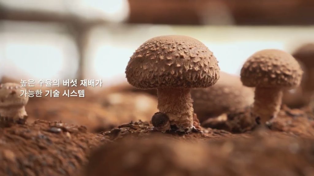 자연을 담은 군자농원의 이야기