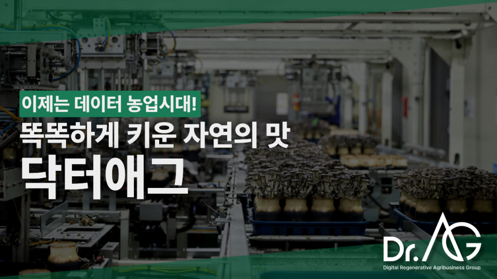 이제는 데이터 농업 시대! 스마트팜의 선두 주자 닥터애그🍄
